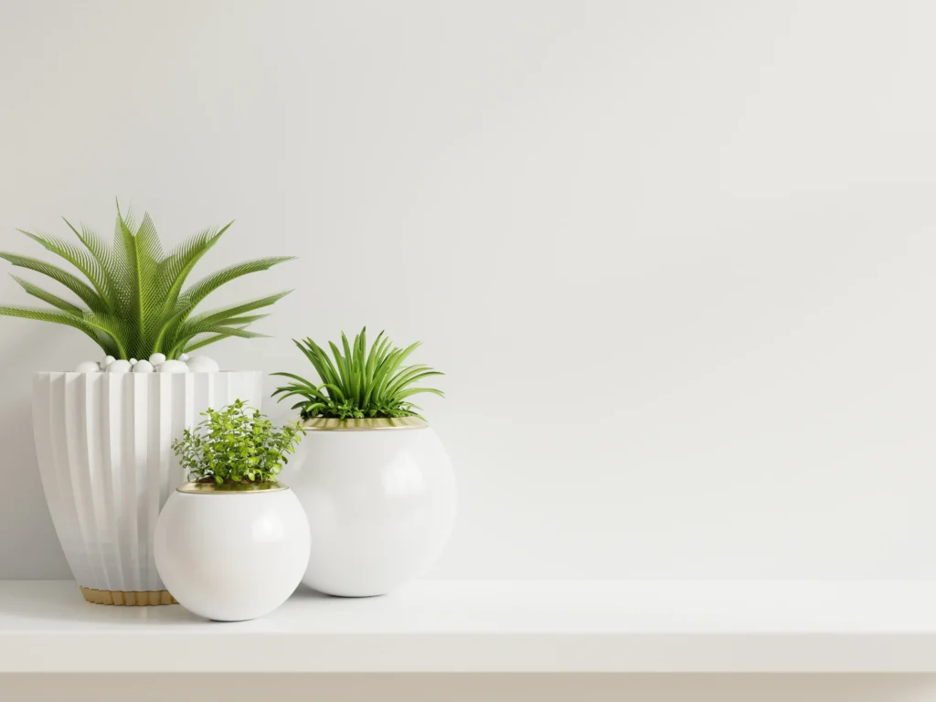 Blat z kilkoma kwiatami.